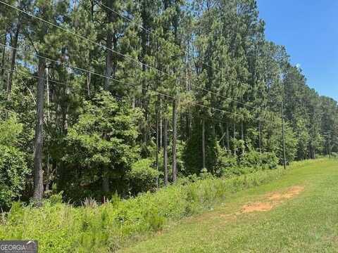 Lot 4 Matthews, Tennille, GA 31089