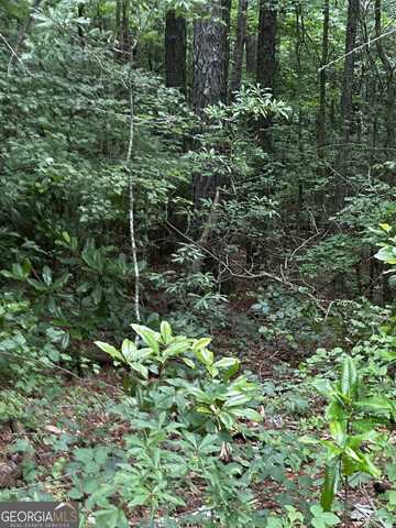 0 Ayers, Bowdon, GA 30108