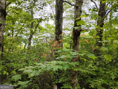 0 Lot 51 Bayberry Lane, Sky Valley, GA 30537