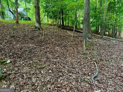694 Echo, Ellijay, GA 30540