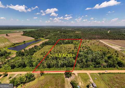 Lot #2 - 6.5 Ac Perry Horton, Adrian, GA 31002