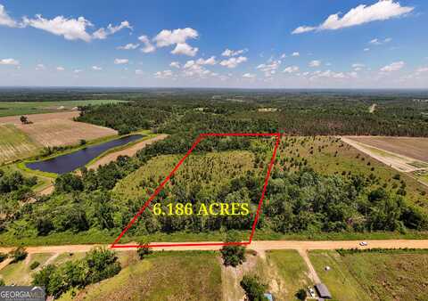 Lot #2 - 6.2 Ac Perry Horton, Adrian, GA 31002