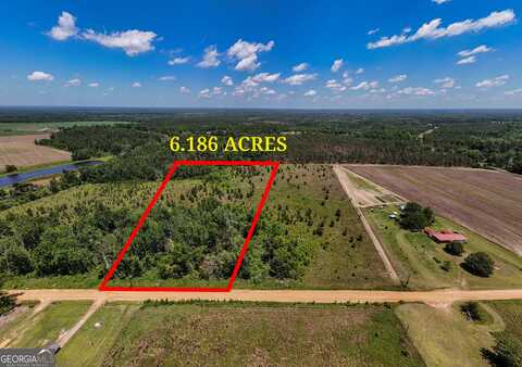 Lot #3 - 6.2+/- Perry Horton, Adrian, GA 31002