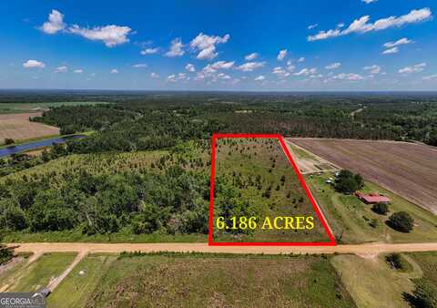 Lot #4 - 6.2+/- Perry Horton, Adrian, GA 31002