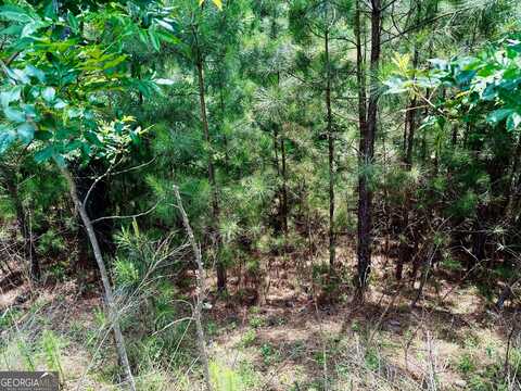 267 Garden, Blairsville, GA 30512