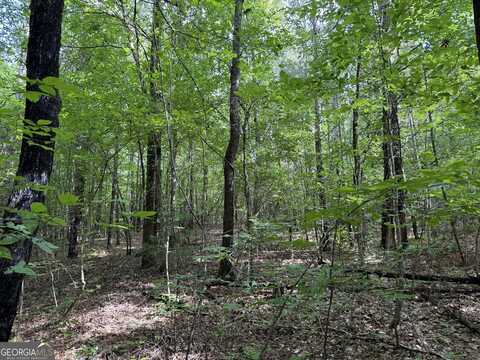 8 Acres Us Highway 80, Roberta, GA 31078
