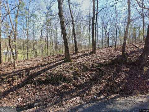 951 Harley, Ball Ground, GA 30107