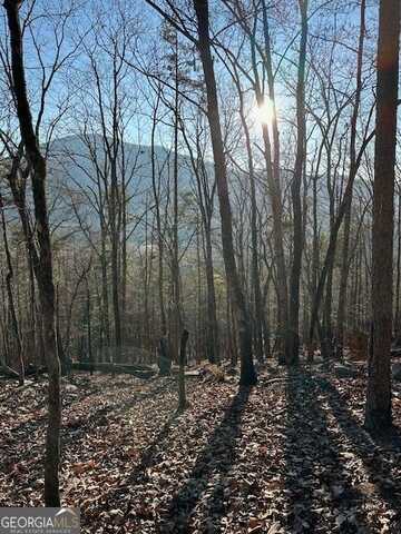 0 Moon, Sautee Nacoochee, GA 30571