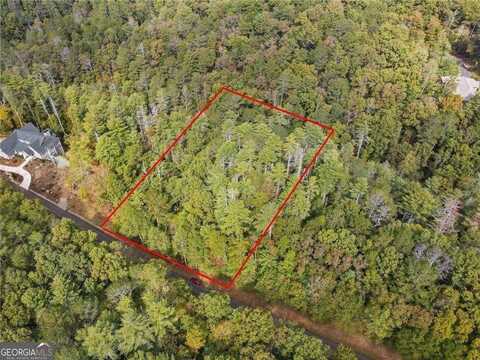 0 Trout Line, Talking Rock, GA 30175