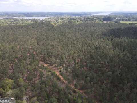 0 Parks Mill, Buckhead, GA 30625