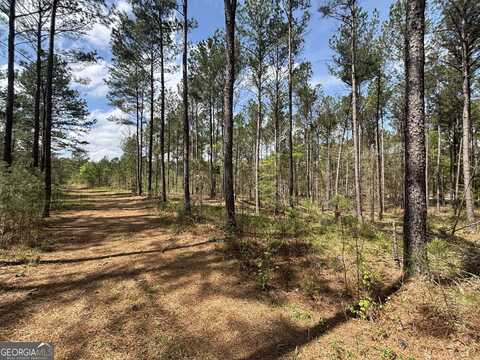 0 Parks Mill, Buckhead, GA 30625