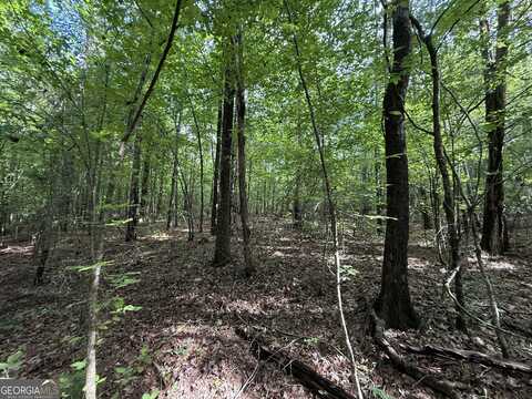 9.07 Acres Us Highway 80, Roberta, GA 31078