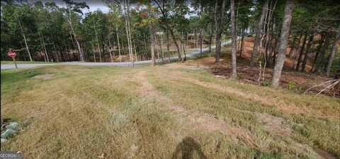 Lot 96 Jakes Landing, Ellijay, GA 30540