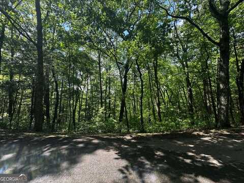 Lot 14 Oceola, Ellijay, GA 30540