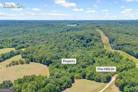 0 Pinehills, Lula, GA 30554