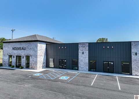 86 Lakeshore Dr, Kuttawa, KY 42055