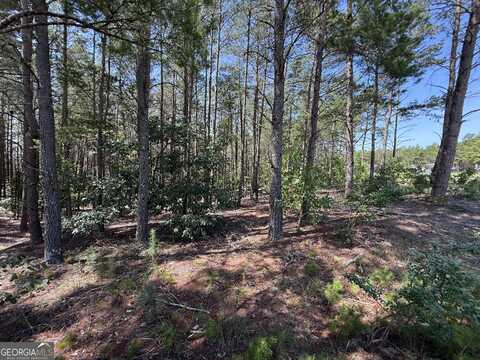 12.1 Acres Jackson, Roberta, GA 31078