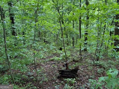 8 Black Bear, Hiawassee, GA 30546