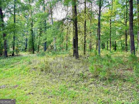 0 Possum Point, Eatonton, GA 31024