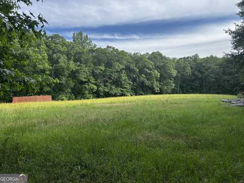 0 Joe Cox, Sharpsburg, GA 30277