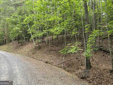 Lt2788 Medina, Ellijay, GA 30540