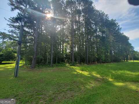0 Willow Lake, Fort Valley, GA 31030