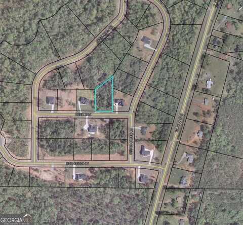 29 Deer, Forsyth, GA 31029
