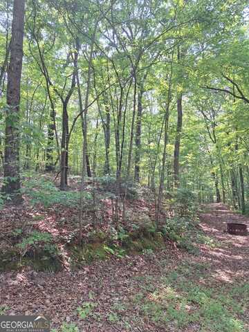 0 Sun Rock Mountain, Blue Ridge, GA 30513