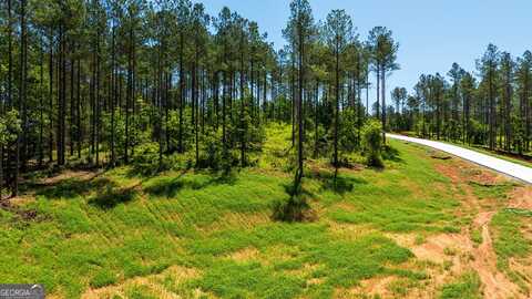 Lot 1 Farm Club Court, Newnan, GA 30263