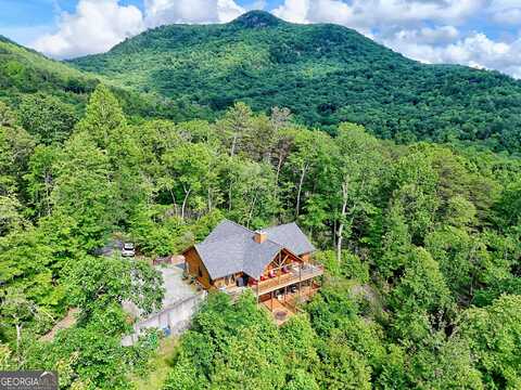 331 Black Bear Den, Clayton, GA 30525
