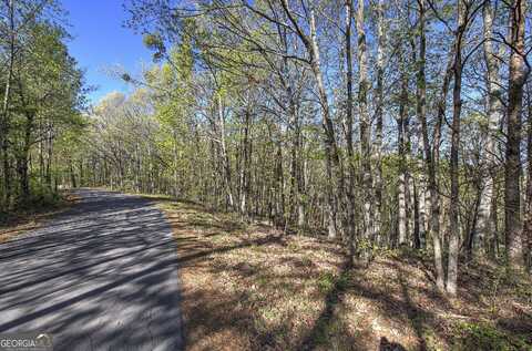 0 McKibben, Buchanan, GA 30113