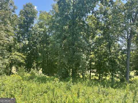 Lot 11 Oak, Hawkinsville, GA 31036