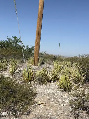undefined, Clint, TX 79938