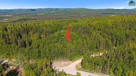NHN EAST BIRCH HILL ROAD, Fairbanks, AK 99712