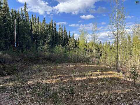1390 ELAINE WAY, Fairbanks, AK 99709
