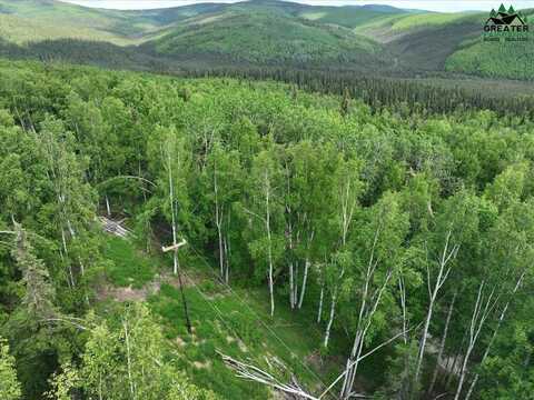 1456 TESLIN TRAIL, Fairbanks, AK 99709