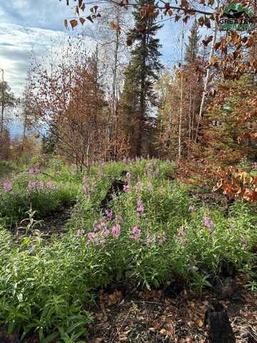 Lot 3 NENANA VALLEY, Nenana, AK 99760