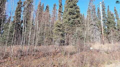 Lot 3 NENANA VALLEY, Nenana, AK 99760