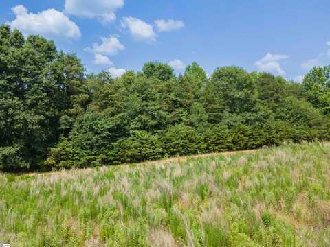 00A Cooley Springs School Road, Chesnee, SC 29323