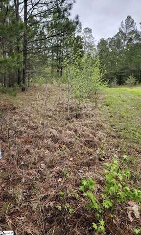 314 Waters Edge Watersedge Drive, Cross Hill, SC 29332