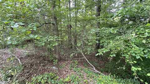 00 Buttercup Court, Westminster, SC 29693