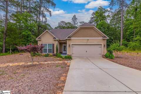 331 Pro Circle, Mc Cormick, SC 29835