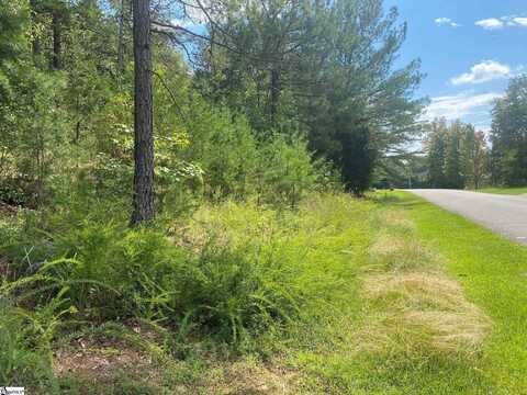 203 W Peninsula Drive, Laurens, SC 29360