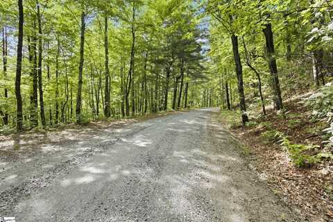430 Lakeview Drive, Saluda, NC 28773