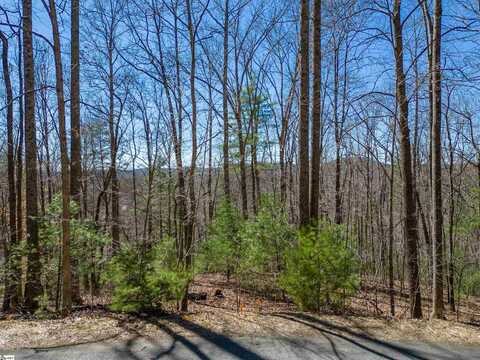 132 Overlook Park Drive, Hendersonville, NC 28792