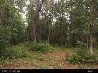 2153 Hawthorne Road NE, Shellman Bluff, GA 31331