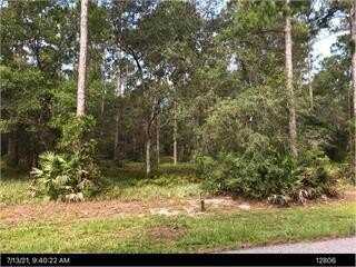 1017 NE VILLAGE GREEN Drive, Townsend, GA 31331