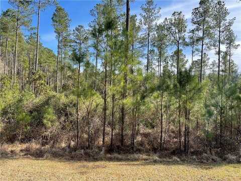 Lot 97 Draytons Way, White Oak, GA 31568