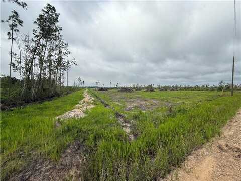 (9.219 Ac) Rhine (Alma, GA) Road, Alma, GA 31510
