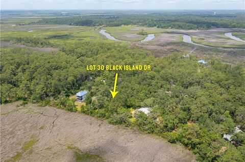Lot 30 Black Road, Darien, GA 31305